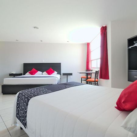 Hotel Euro Confort,Pachuca Exterior photo